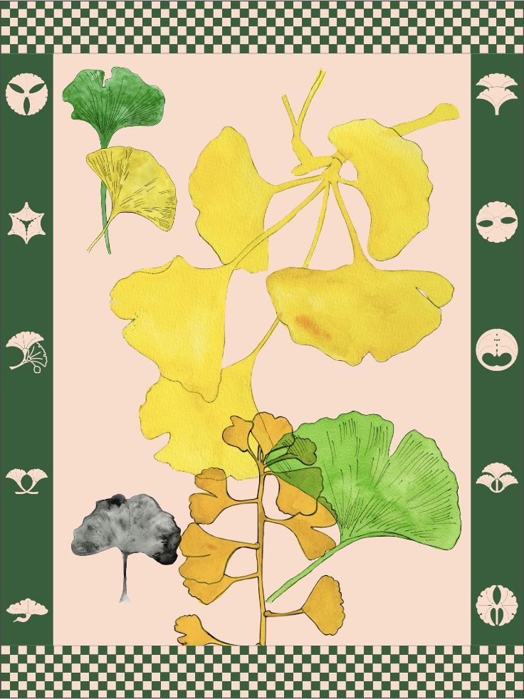 Ginkgo portfolio
